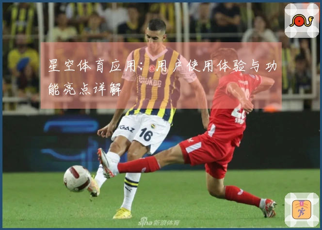 星空体育应用:用户使用体验与功能亮点详解